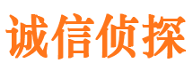 团风市调查公司